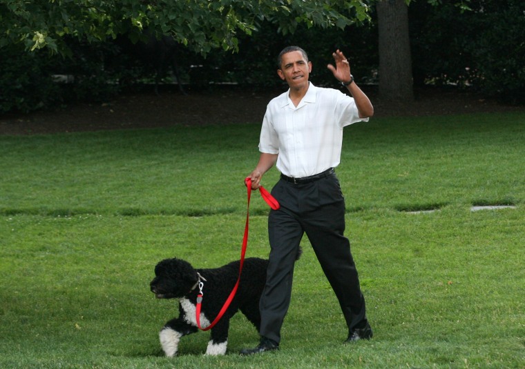 Image: Obama Hosts Congressional Picnic